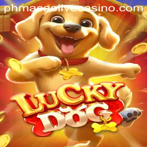 LuckyDog: The Game that Combines Luck and Strategy with a Twist of phmacao